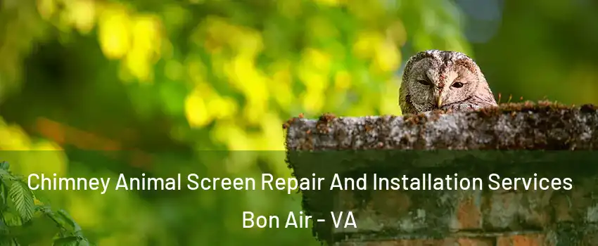  Chimney Animal Screen Repair And Installation Services Bon Air - VA