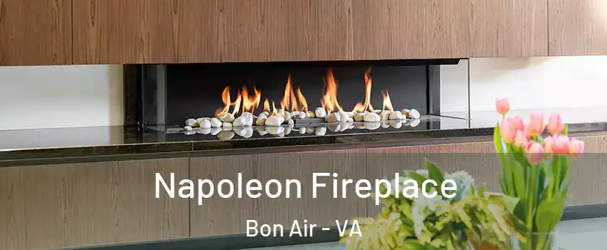  Napoleon Fireplace Bon Air - VA