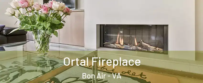  Ortal Fireplace Bon Air - VA